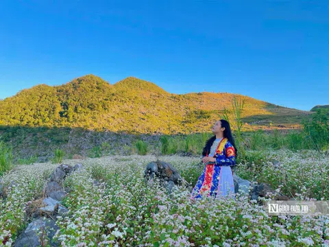 Hà Giang: Lễ hội hoa tam giác mạch, 10 năm khắc ghi dấu ấn