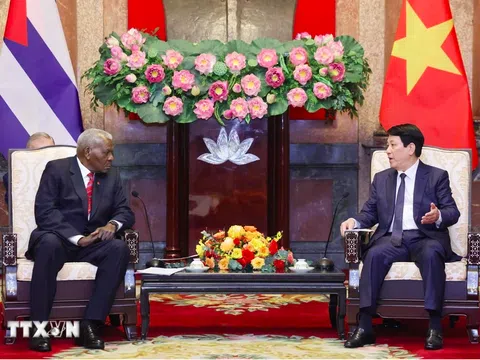 Việt Nam 'mong muốn làm sâu sắc hơn nữa' quan hệ hợp tác với Cuba