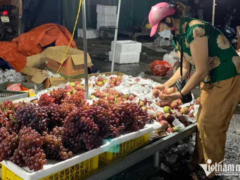 Hơn 2.500 tỷ đồng nhập khẩu, choáng với giá nho Trung Quốc ở chợ đầu mối