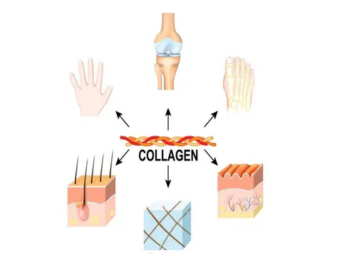 Dùng collagen có tác dụng phụ không?