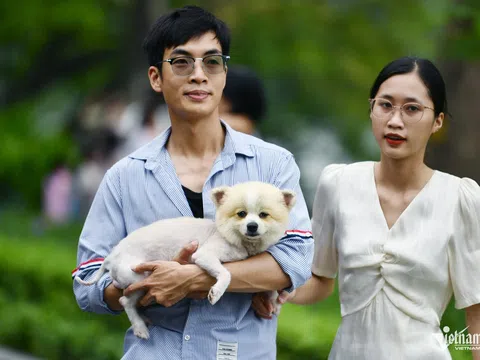 Dự báo thời tiết 8/11/2024: Miền Bắc hanh khô, se lạnh