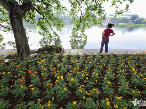 Dự báo thời tiết 13/11/2024: Hà Nội nắng hanh, miền Trung mưa giảm