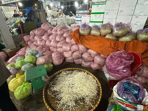 3.000 tấn giá đỗ ngâm chất cấm: Yêu cầu báo cáo hoạt động quản lý thực phẩm