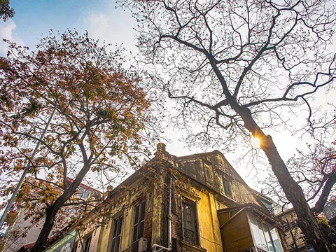 Thời tiết ngày 7/1: Bắc Bộ và Bắc Trung Bộ nắng hanh trước khi mưa ẩm