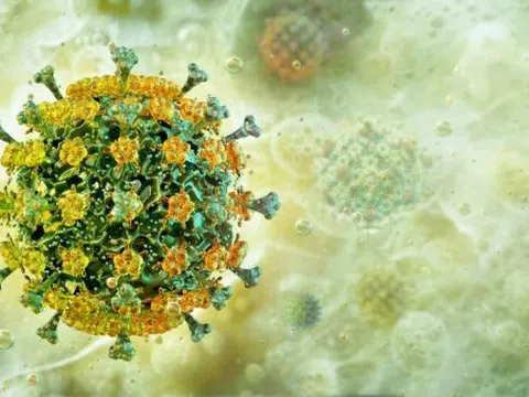 Một học sinh lớp 7 tử vong nghi do cúm A