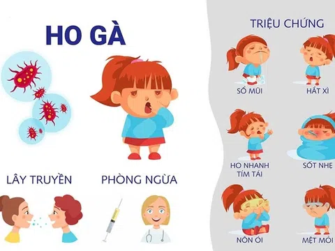 Ho gà: Cách điều trị và phòng bệnh