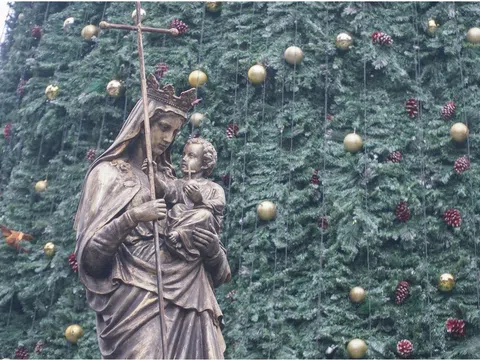 Cận cảnh những cây thông noel 'khổng lồ' ở Hà Nội phục vụ dịp Giáng sinh 2023