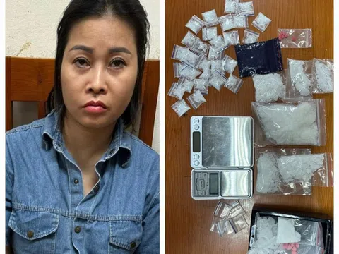 Hà Nội: Bắt giữ chủ nhà nghỉ mua bán, tổ chức sử dụng trái phép chất ma tuý