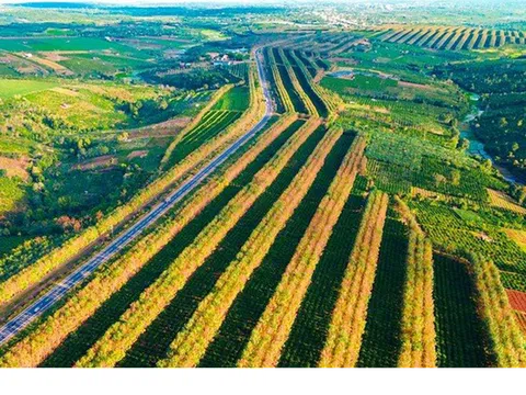 Tây Nguyên bước vào mùa đẹp nhất trong năm