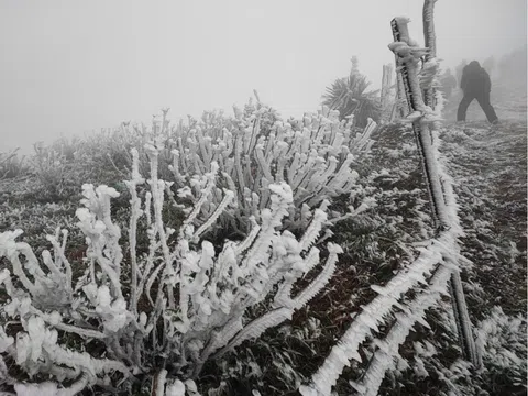 Băng tuyết phủ trắng đỉnh Mẫu Sơn