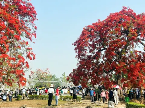 Điện Biên đón hơn 1 triệu khách du lịch từ đầu năm đến nay