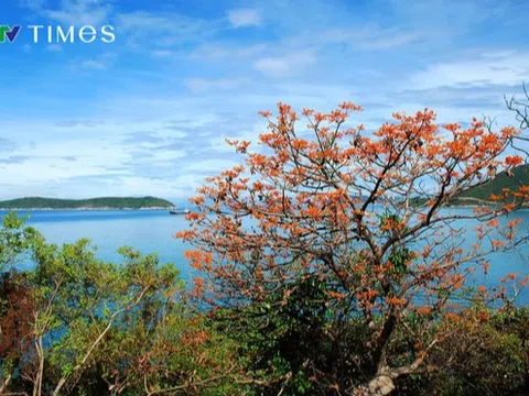 Cù Lao Chàm - Hội An kỷ niệm 15 năm được UNESCO công nhận Khu dự trữ sinh quyển thế giới