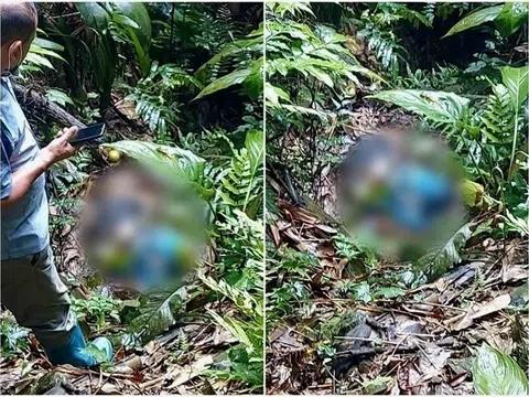 Phát hiện thi thể đang phân hủy trong rừng sâu ở Cao Bằng