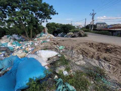 Người dân Sóc Sơn bức xúc vì rác thải vây quanh nhà, nguy cơ ngập lụt cao khi đất hành lang đê bị lấn chiếm diện rộng