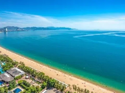 Những điểm lặn biển ngắm san hô đẹp ở Việt Nam