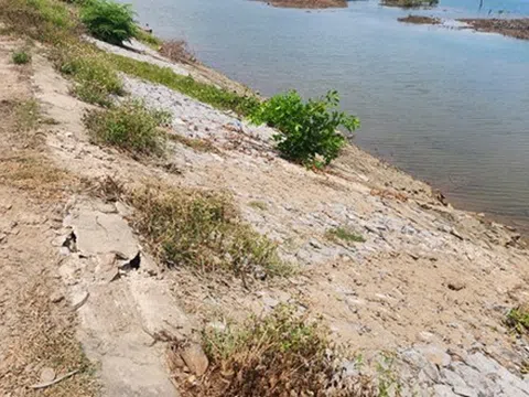 Nghi Sơn (Thanh Hóa): Ngang nhiên đào múc hành lang an toàn đê hữu sông Bạng