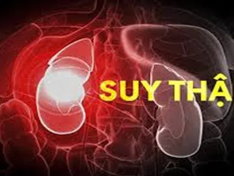 Nguyên nhân, yếu tố nguy cơ và bệnh lý dẫn đến suy thận.