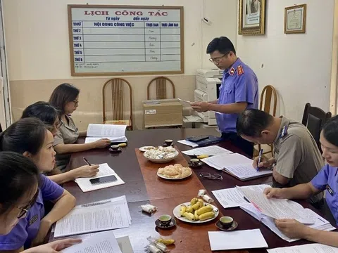 Phát hiện vi phạm của Chi nhánh Văn phòng đăng ký đất đai huyện Kiến Thụy, TP Hải Phòng