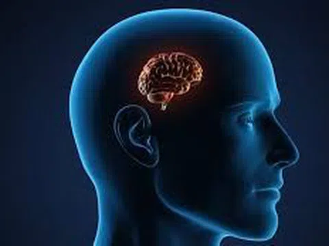 Dấu hiệu nhận biết bị teo não ở người già, cách phòng ngừa