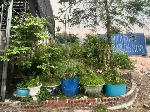 Vì sao các cựu chiến binh không đồng ý quyết định bồi thường của quận Ngô Quyền, Hải Phòng