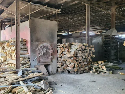 Nghệ An: Xưởng chế biến gỗ của Công ty cổ phần ANT Nghĩa Đàn hoạt động không phép gây ô nhiễm môi trường nghiêm trọng