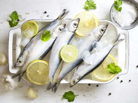 Cá mòi có 9 lợi ích sức khỏe đáng ngạc nhiên