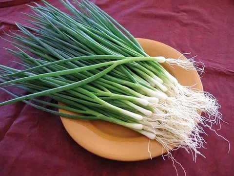 Hành lá thơm ngon, nhưng lại "đại kỵ" với 5 thực phẩm này!