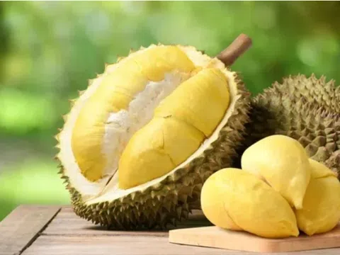 Cách nhận biết sầu riêng chín hay chưa