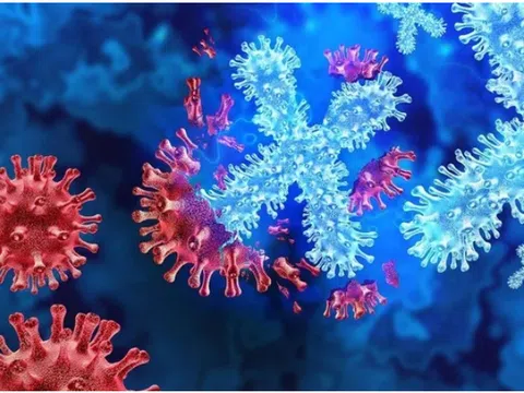 Dịch bệnh bí ẩn ở Congo: WHO nghi ngờ là sốt rét, loạt quốc gia hành động khẩn