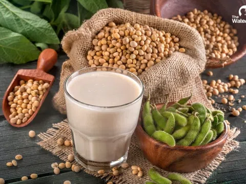 4 cách kiểm soát cholesterol máu để phòng ngừa bệnh tim mạch