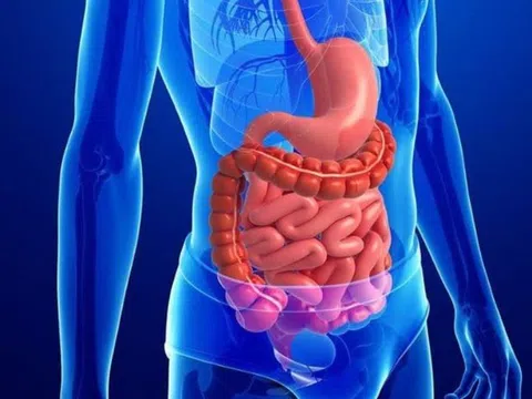 Cách cải thiện sức khỏe đường ruột