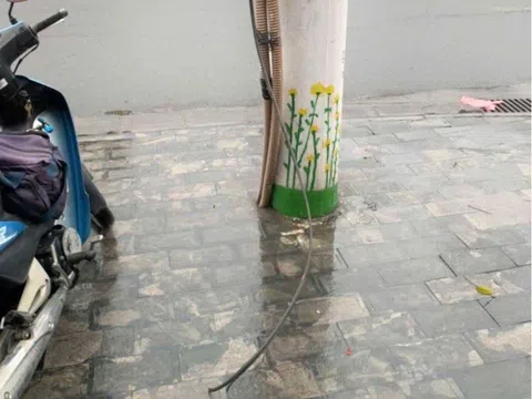 Nợ tiền thuê cột điện, điện lực Ninh Bình cắt cáp SCTV