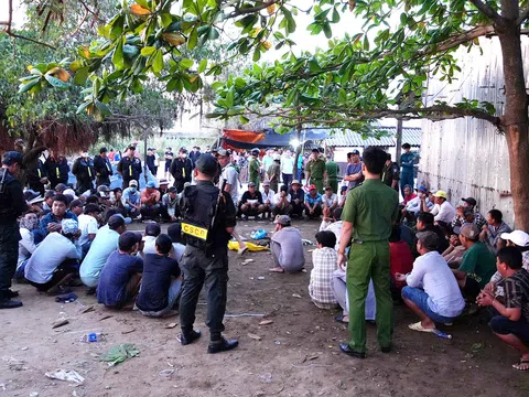 Cảnh sát hình sự bắt 75 người đá gà ăn thua bằng tiền, thu hàng trăm triệu đồng