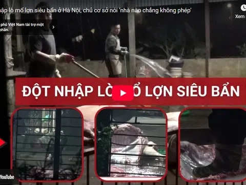 Đột nhập lò mổ lợn siêu bẩn ở Hà Nội, chủ cơ sở nói ‘nhà nào chẳng không phép'