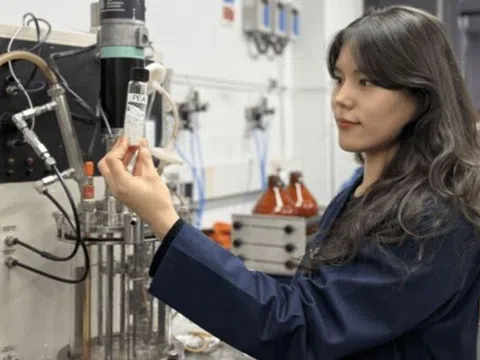 Hàn Quốc: Nghiên cứu mới biến cỏ dại thành nhựa sinh học