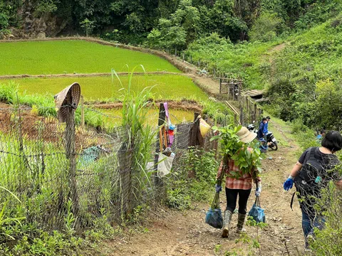"Rừng Xanh Lên" - Hành trình phục hồi rừng tự nhiên Tây Bắc