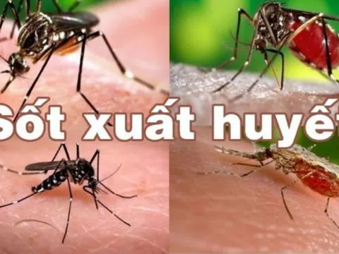 Giai đoạn nguy hiểm khi trẻ mắc sốt xuất huyết cha mẹ cần lưu ý