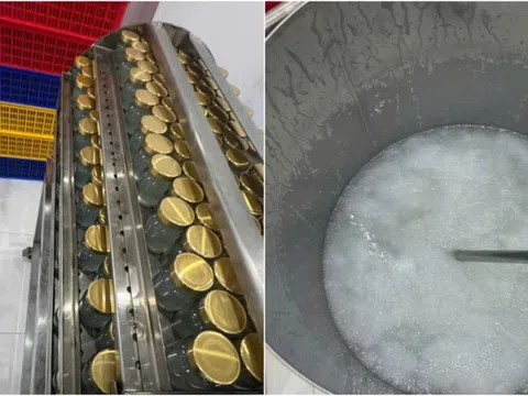 Triệt phá đường dây sản xuất yến sào giả quy mô lớn, thu giữ gần 38.000 sản phẩm