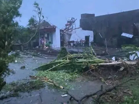 13 người thương vong do cơn bão số 10 Bualoi tại Ninh Bình