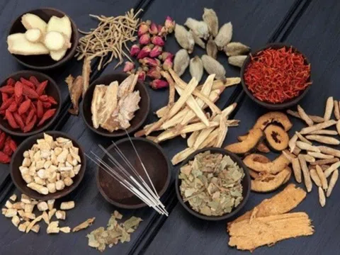 Bổ huyết - Dưỡng âm: Nguyên tắc trong điều trị bệnh viêm da lâu ngày