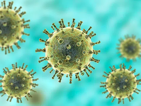 Bệnh thủy đậu ở người lớn có thể gây biến chứng nguy hiểm