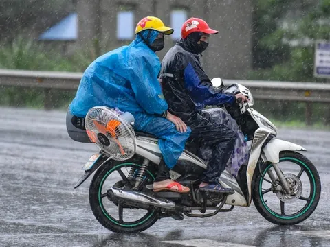 Nước mắt hồi hương