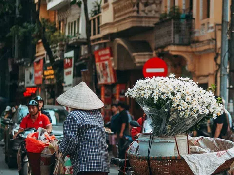 Cúc Họa Mi đẹp tinh khôi giữa khúc giao mùa cuối Thu