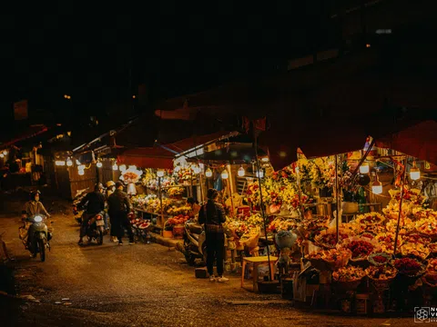 Chìm đắm trong sắc hoa tại chợ Quảng An vào một đêm đầu Đông