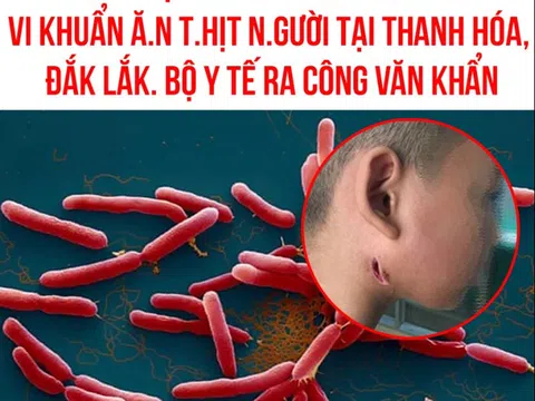 Thanh Hóa: Một bệnh nhân nhiễm Whitmore đã tử vong và những khuyến cáo cần biết để phòng bệnh
