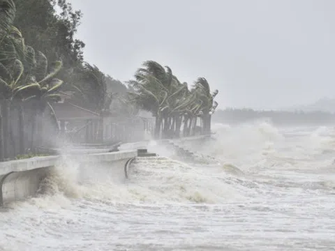 Tin bão khẩn cấp (Cơn bão số 6)