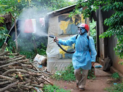 Bộ Y tế chỉ đạo tăng cường công tác chẩn đoán, điều trị sốt xuất huyết