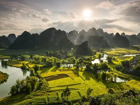 Mùa vàng đẹp sững sờ bên thác Bản Giốc