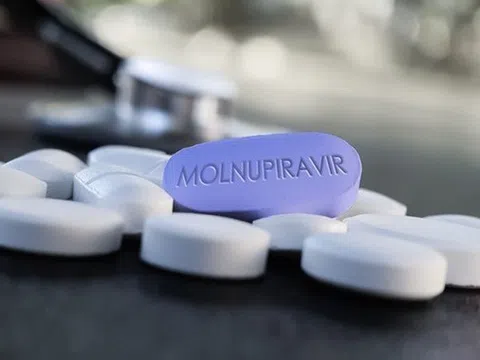 Bộ Y tế đưa Molnupiravir vào phác đồ điều trị Covid-19