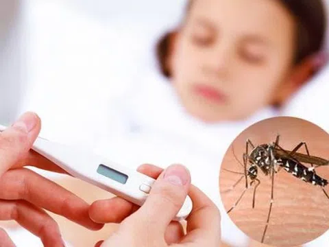 Sốt xuất huyết vào mùa: Cảnh báo việc dùng sai thuốc điều trị